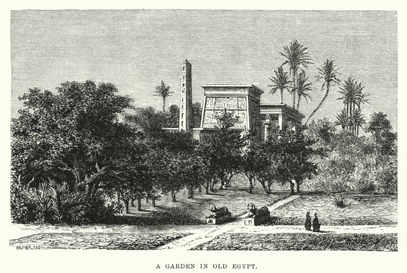 A Garden in Old Egypt by English School