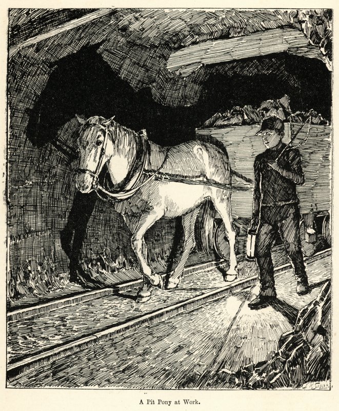 A Pit Pony at Work by English School