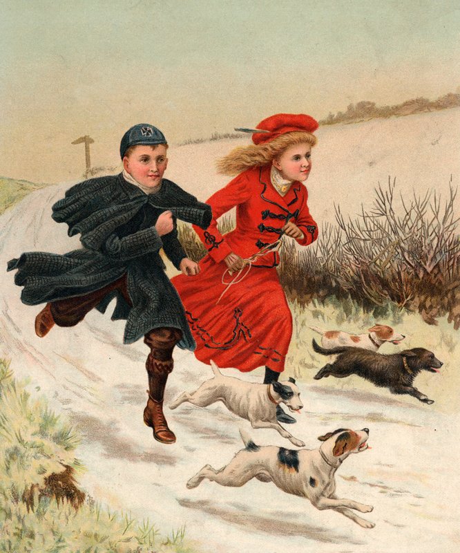 A Run with the Dogs by English School