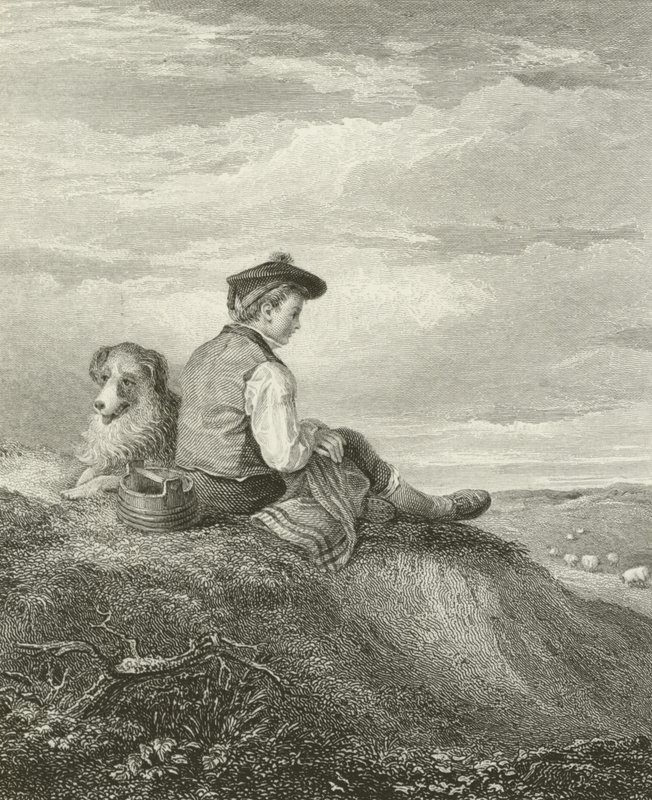 A Scottish Shepherd Boy by English School