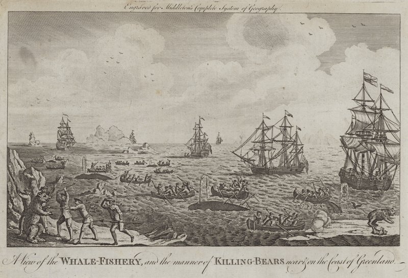 A View of the Whale Fishery and the Manner of Killing Bears near and on the Coast of Greenland by English School