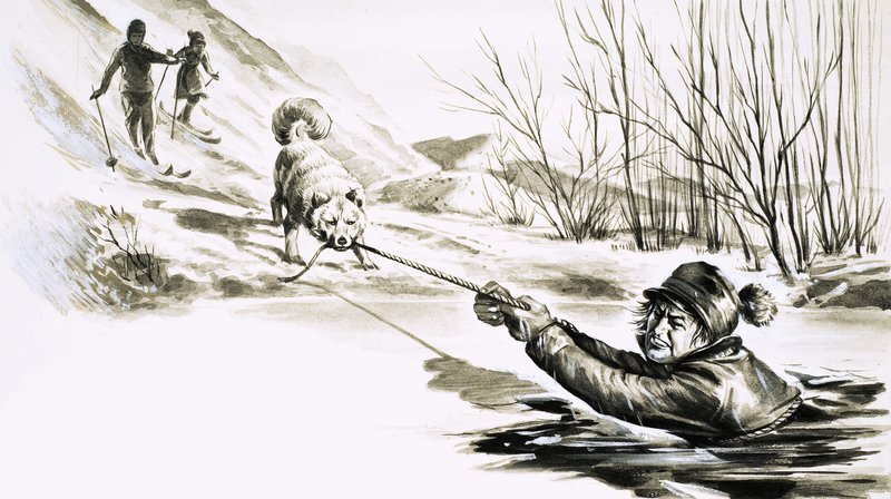 A Dog Rescues a Man from an Icy Pool by English School