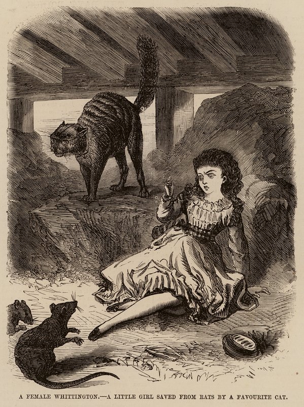 A female Whittington, a little girl saved from rats by a favourite cat by English School