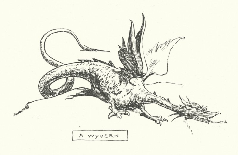 A wyvern by English School