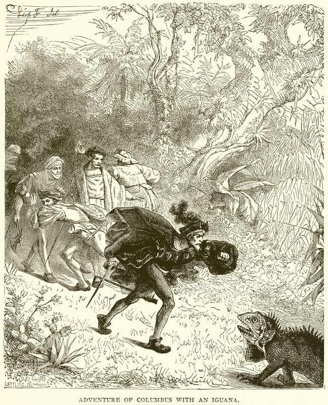 Adventure of Columbus with an Iguana by English School