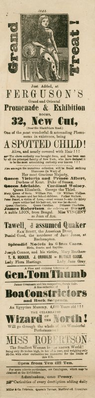 Advert for Ferguson