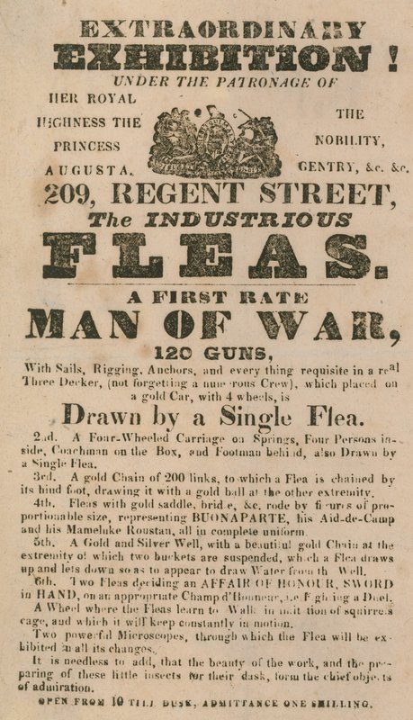 Advert for an Exhibition of The Industrious Fleas by English School