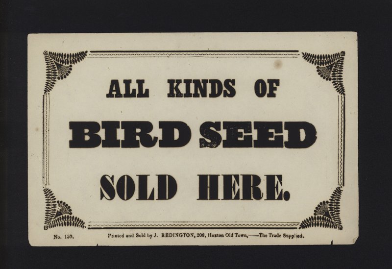 Advertisement: All Kinds of Bird Seed Sold Here by English School