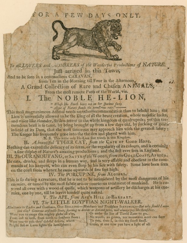 Advertisement for the Appearance of a Collection of Rare Animals, Including a Lion, Tiger, Porcupine and Ape by English School
