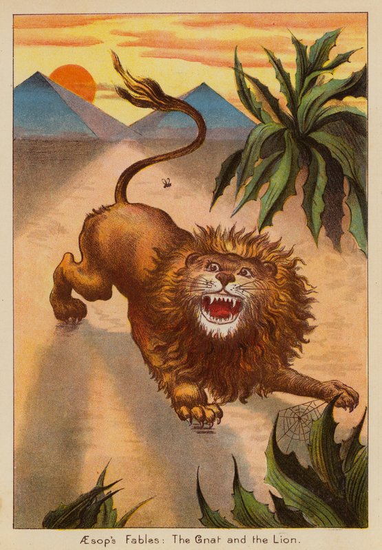 Aesop