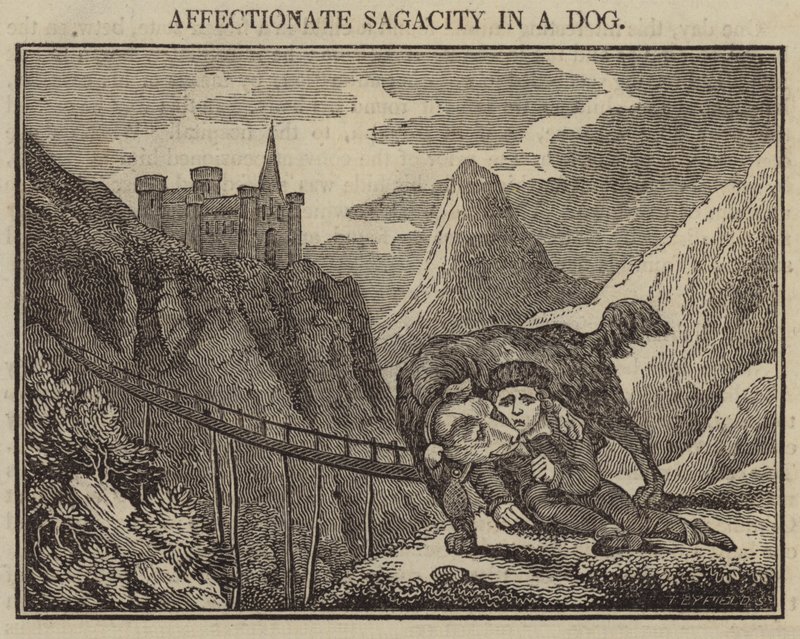Affectionate Sagacity in a Dog by English School