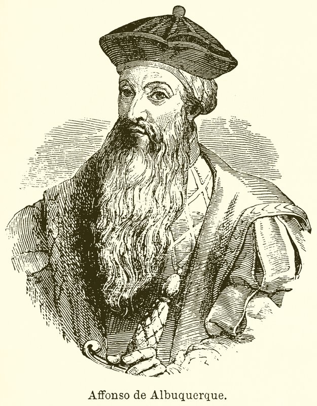 Afonso de Albuquerque by English School