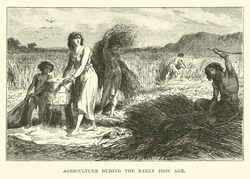 Agriculture during the Early Iron Age by English School