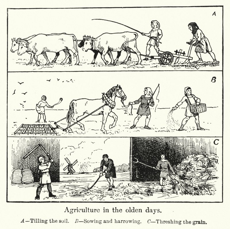 Agriculture in the olden days by English School