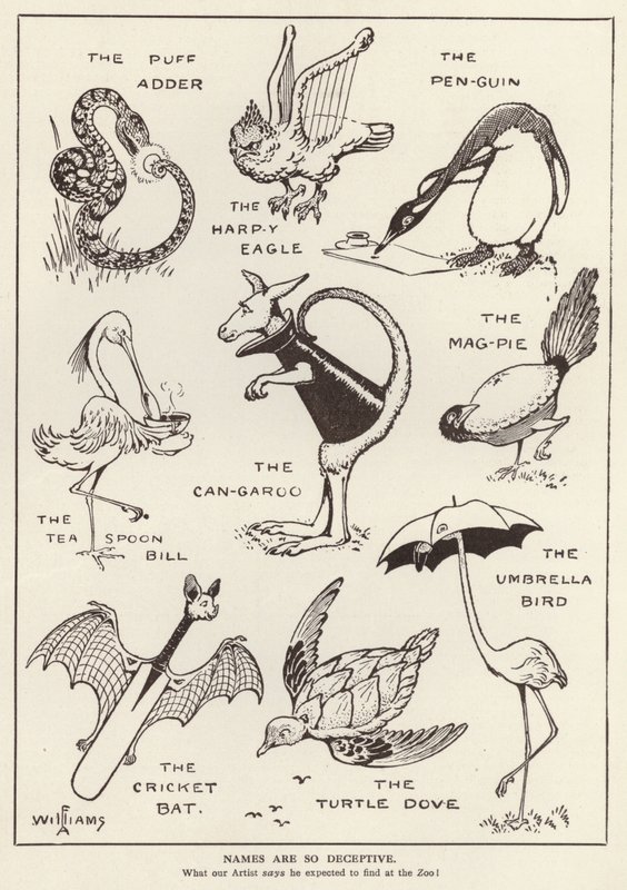 Amusing animals by English School