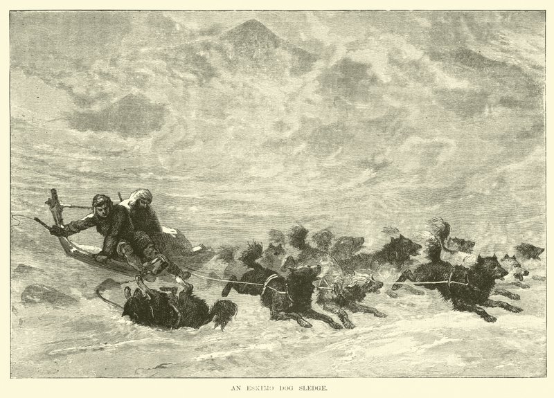 An Eskimo Dog Sledge by English School