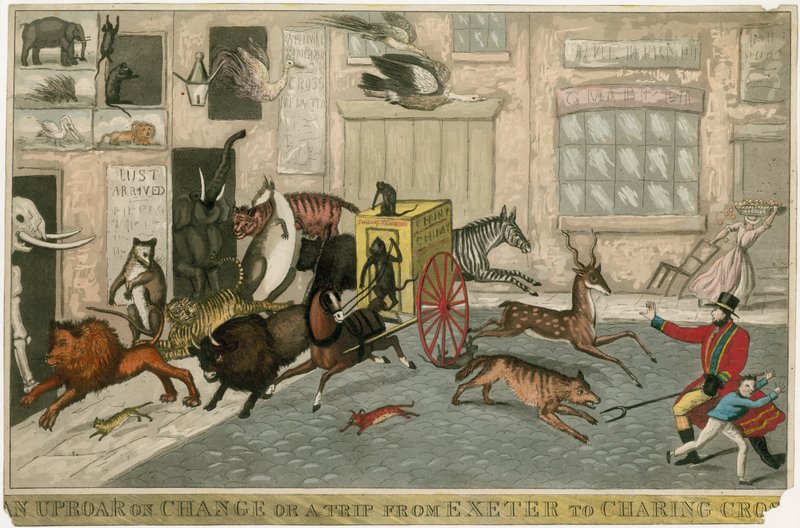 An uproar on Change or a trip from Exeter to Charing Cross by English School