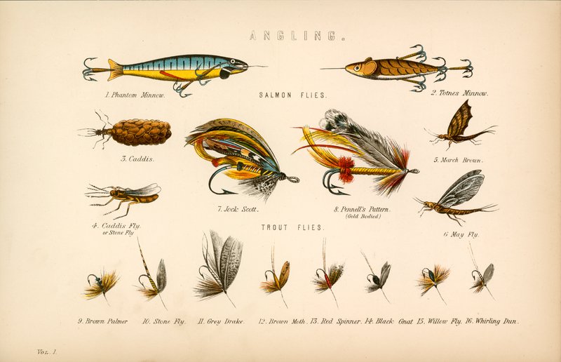 Angling by English School