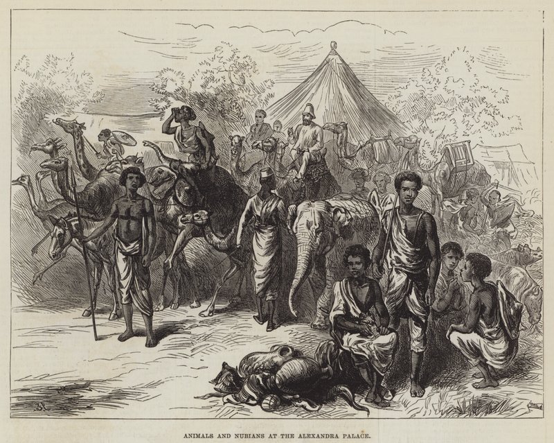 Animals and Nubians at the Alexandra Palace by English School