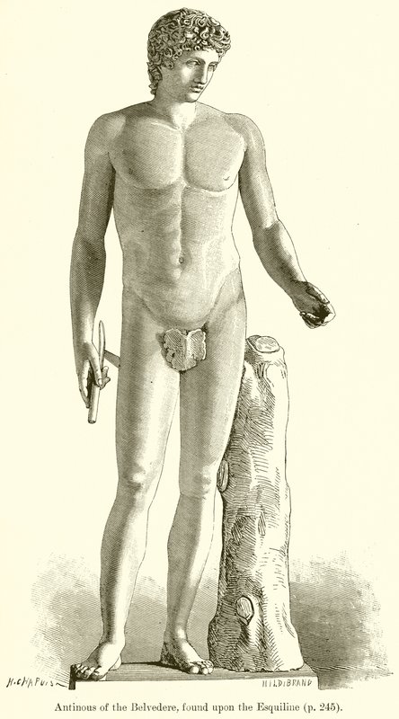 Antinous of the Belvedere, Found upon the Esquiline by English School