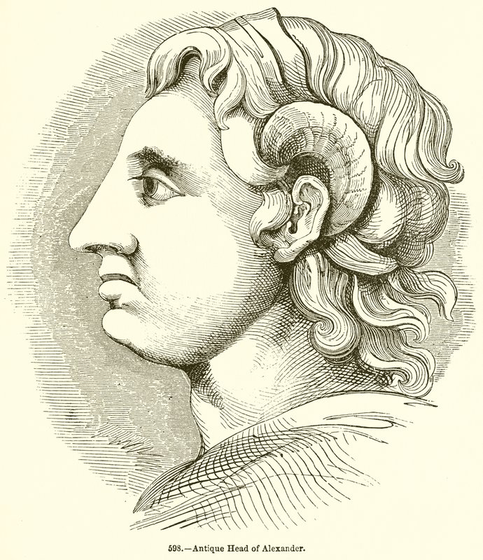 Antique Head of Alexander by English School
