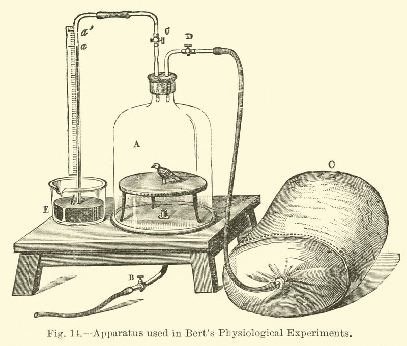 Apparatus used in Bert