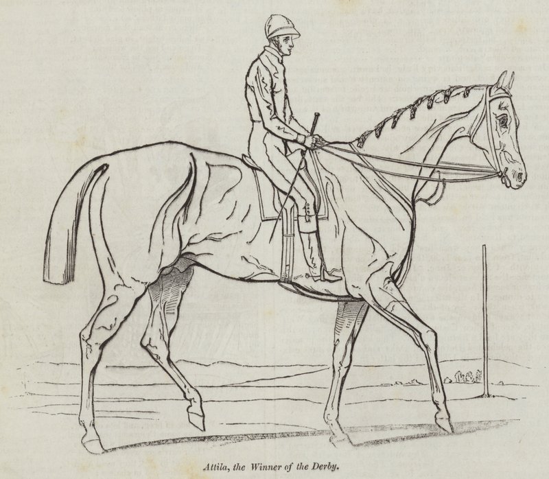 Attila, the Winner of the Derby by English School