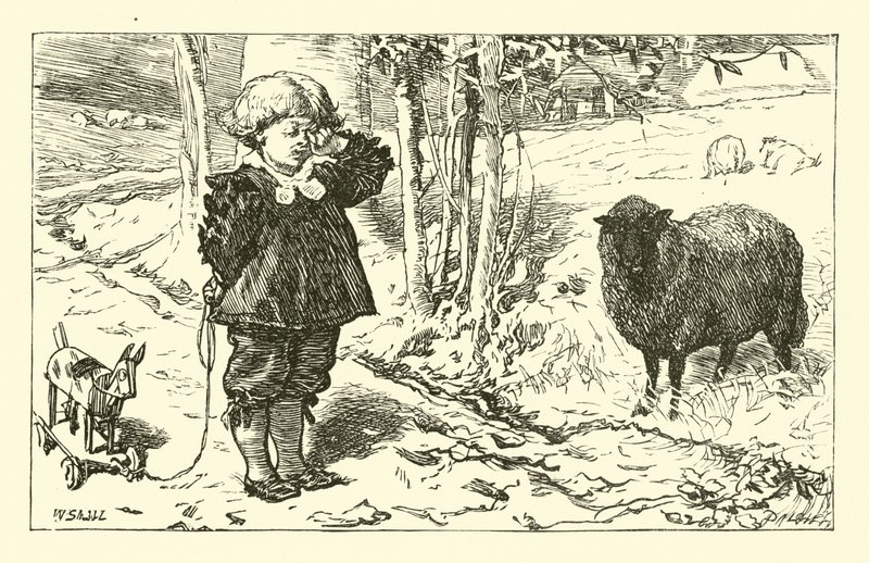 Baa, Baa, Black Sheep by English School