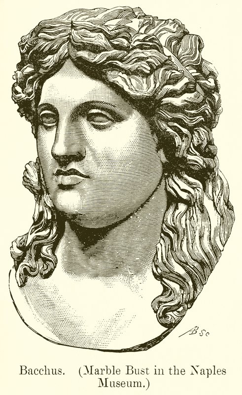 Bacchus (Marble Bust in the Naples Museum) by English School