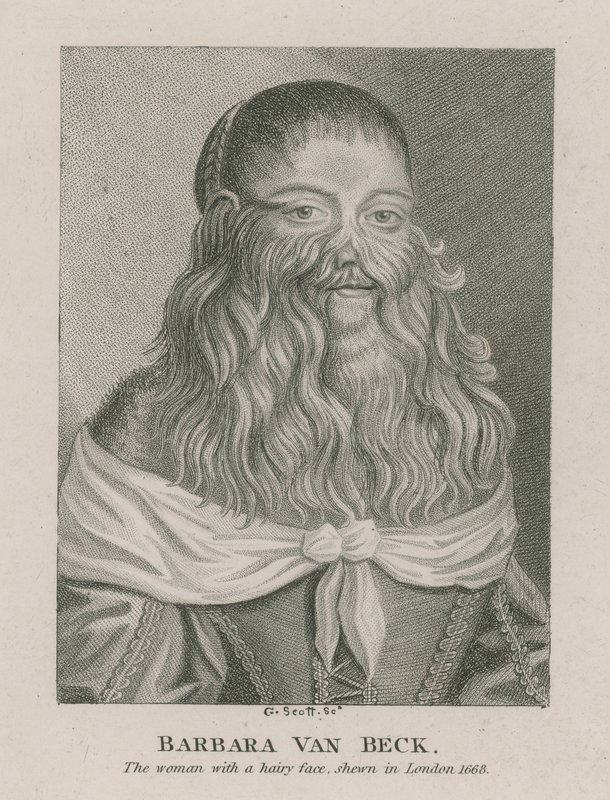 Barbara Van Beck, the woman with a hairy face, shown in London, 1668 by English School