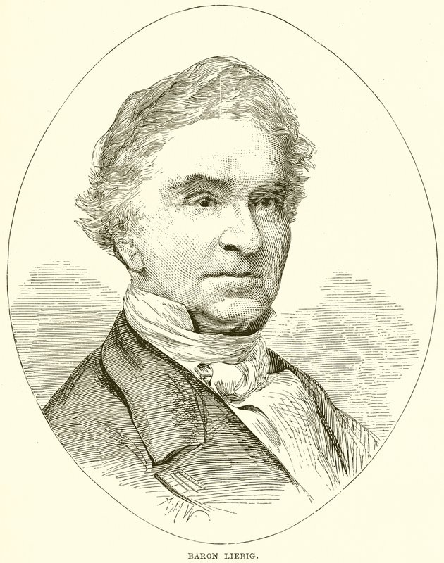 Baron Liebig by English School