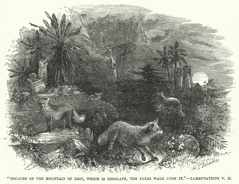 Because of the Mountain of Zion, Which is Desolate, the Foxes Walk Upon It, Lamentations V by English School