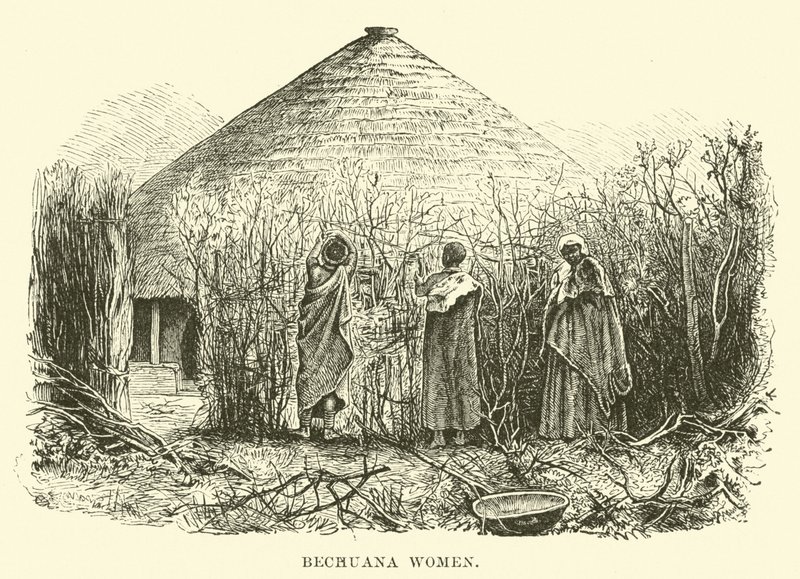 Bechuana Women by English School