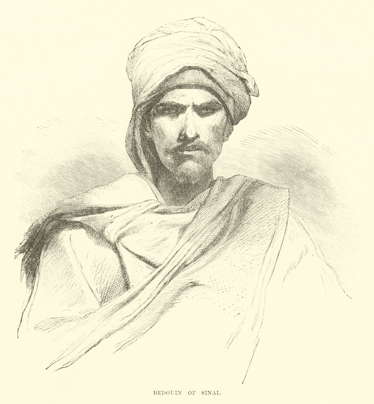 Bedouin of Sinai by English School