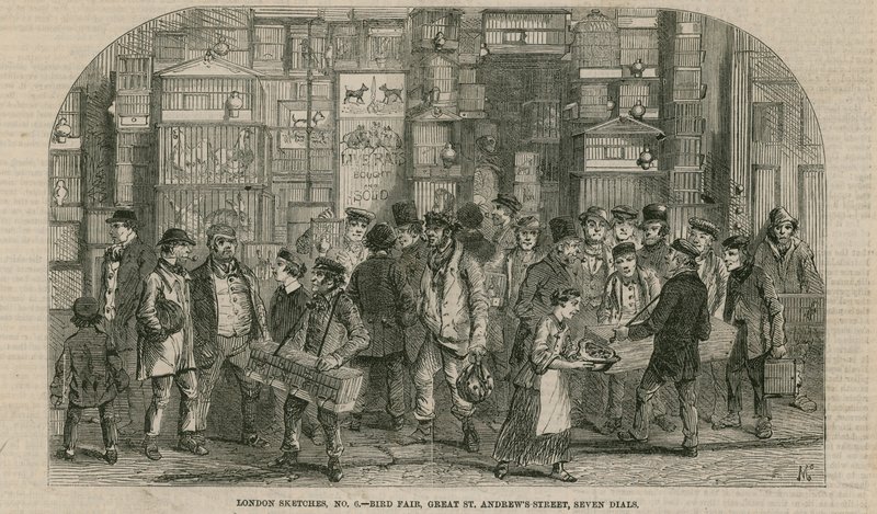 Bird Fair, Great St Andrews Street, Seven Dials, London by English School