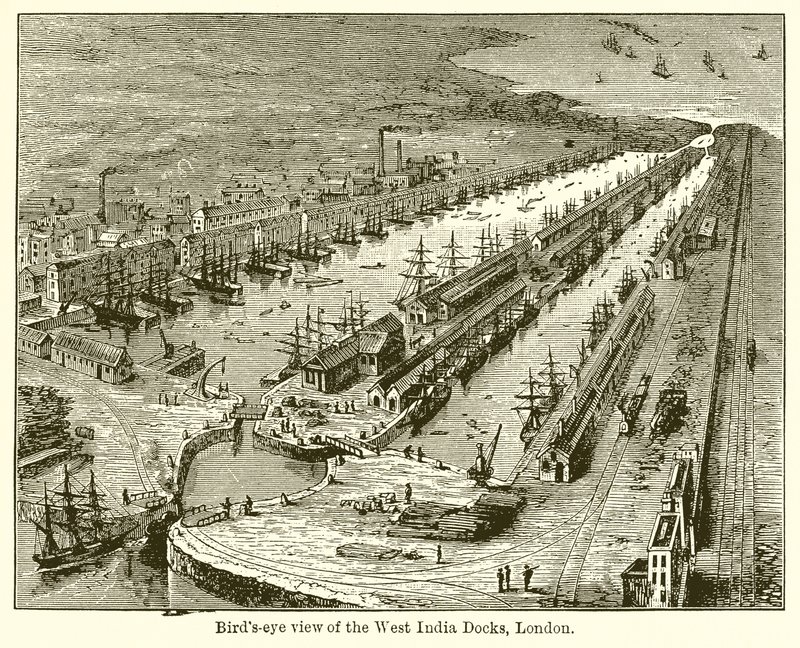 Birds-Eye View of the West India Docks, London by English School