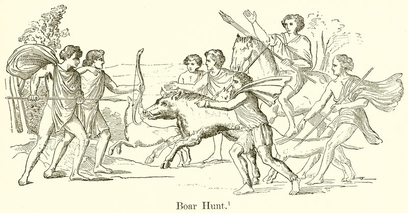 Boar Hunt by English School