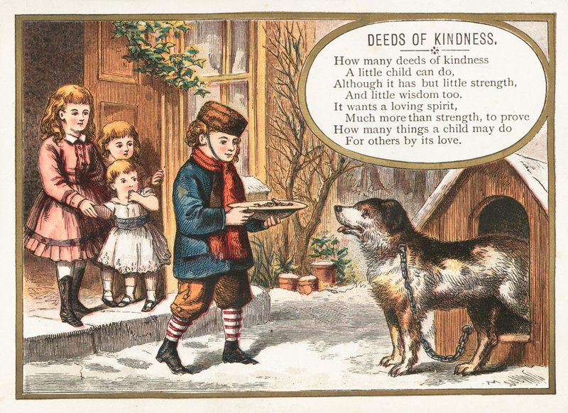 Boy feeding dog in kennel by English School