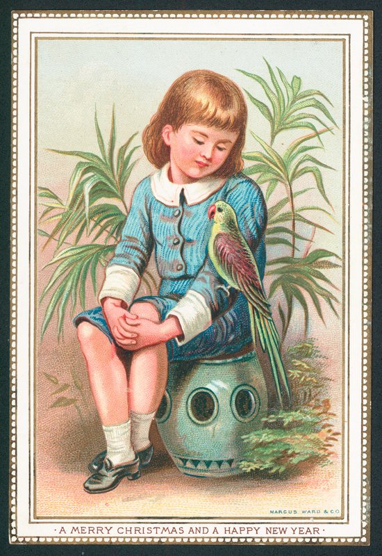 Boy sitting with exotic bird on arm by English School