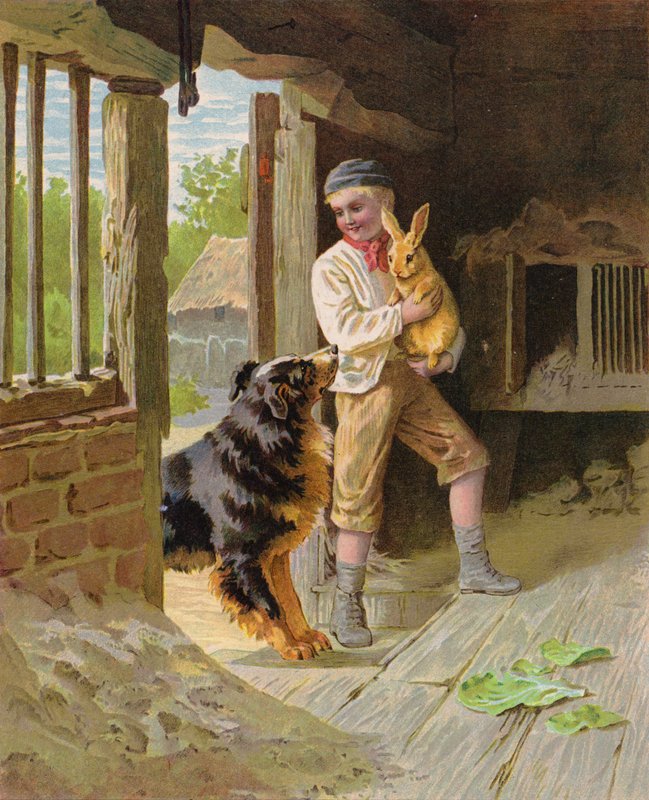 Boy with a dog and a rabbit on a farm by English School
