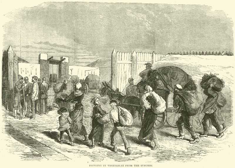 Bringing in Vegetables from the Suburbs, October 1870 by English School