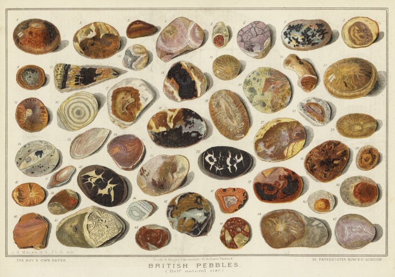 British Pebbles by English School