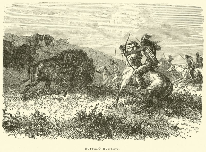 Buffalo hunting by English School