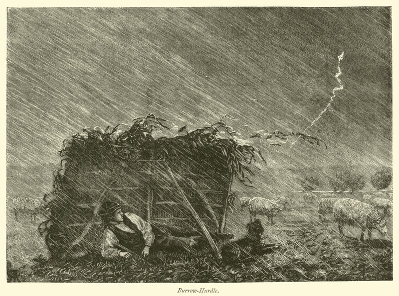 Burrow-Hurdle by English School