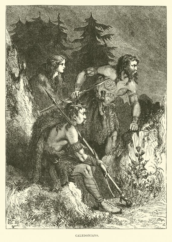 Caledonians by English School