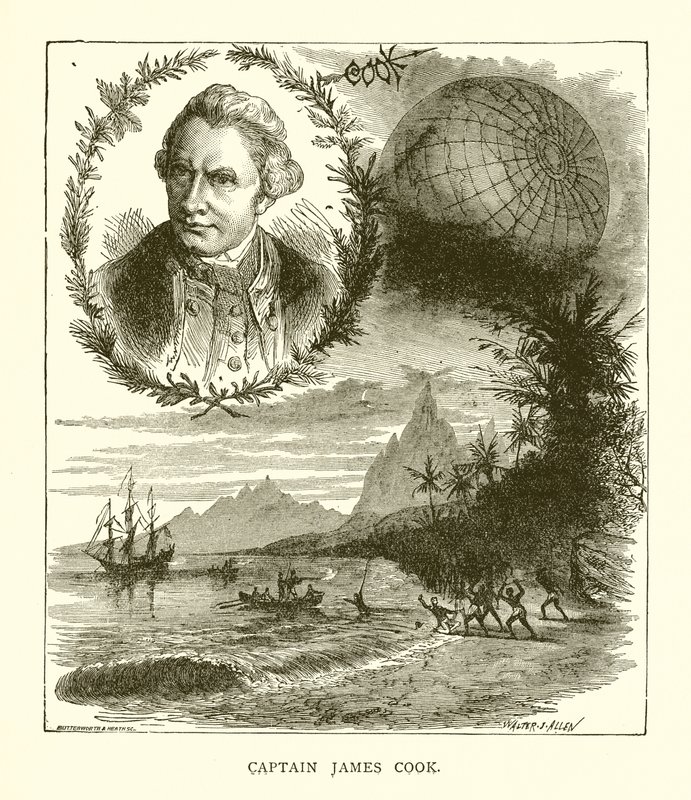 Captain James Cook by English School