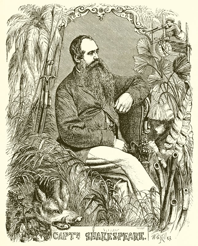 Captain Shakespeare by English School