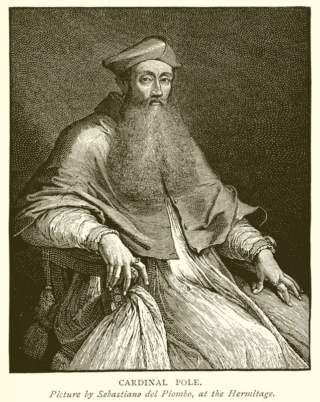 Cardinal Pole by English School