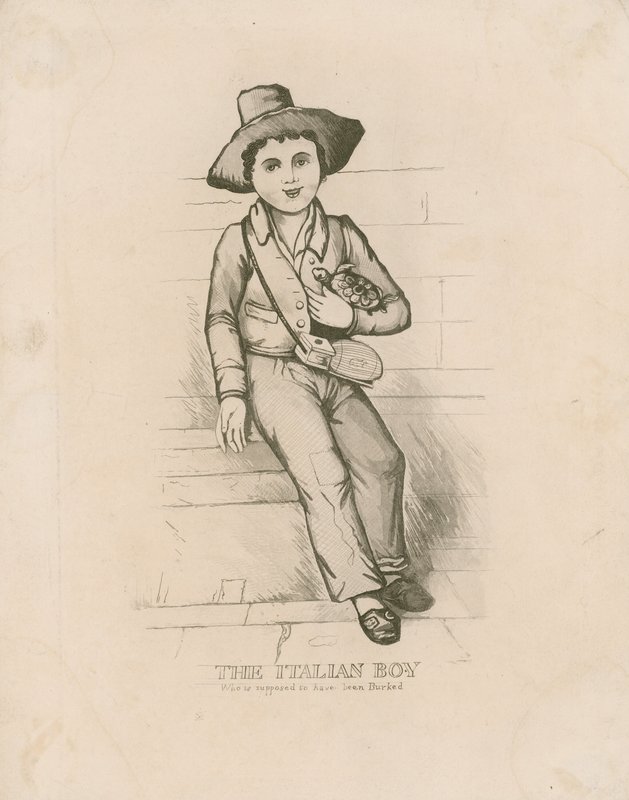 Carlo Fariere, the Italian Boy by English School