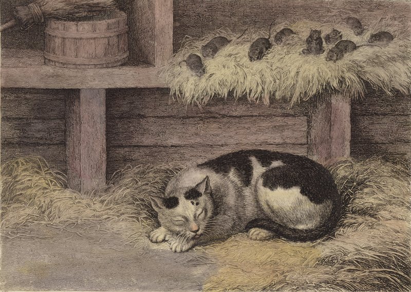 Cat and Mice in a Barn by English School